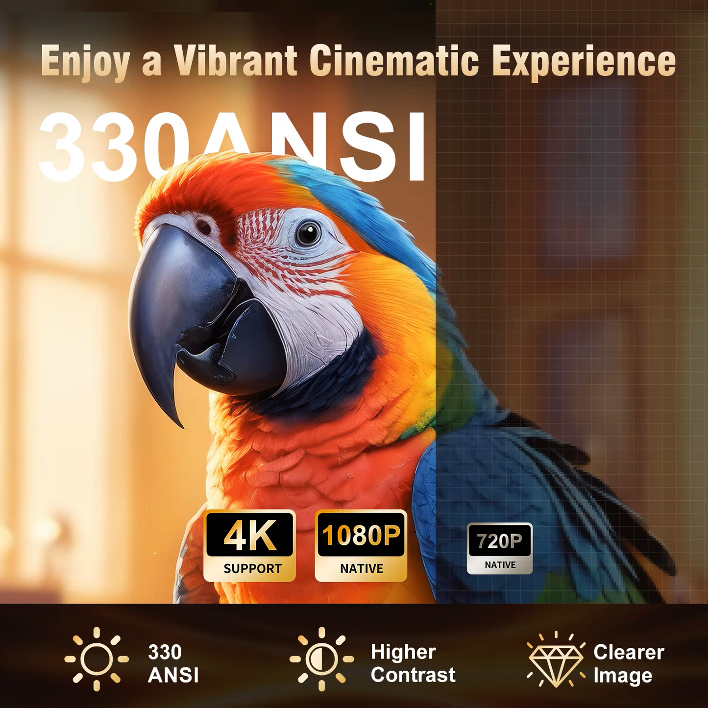 HY310 MINI / HY260 PRO