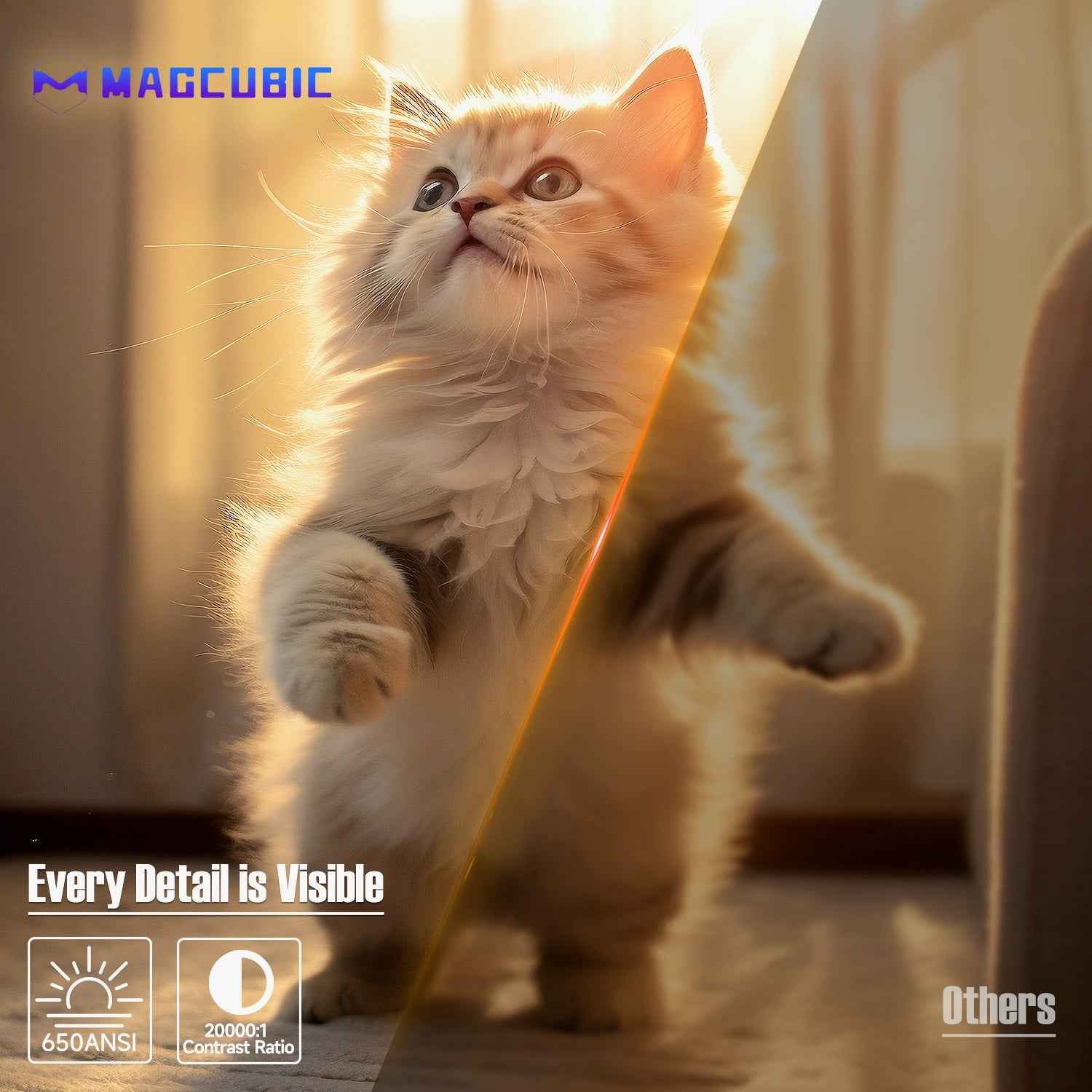 Magcubic L018