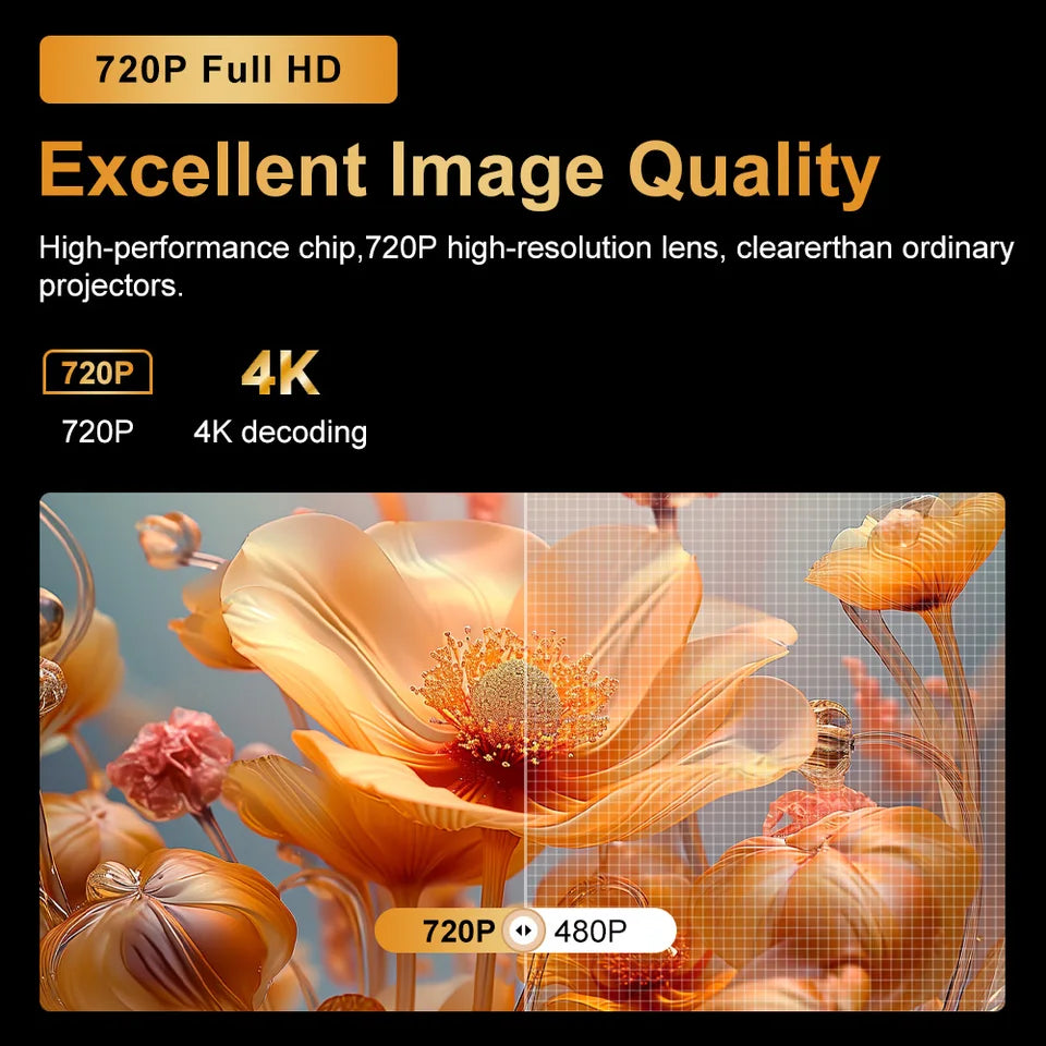 PF03